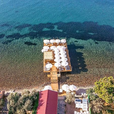 Assosa Hotel Ayvacik Extérieur photo